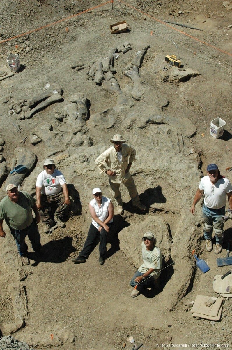 Dig crew team portrait at the Shell Wyoming quarry, 2007 season. Morrison Formation, Bighorn County, Wyoming.