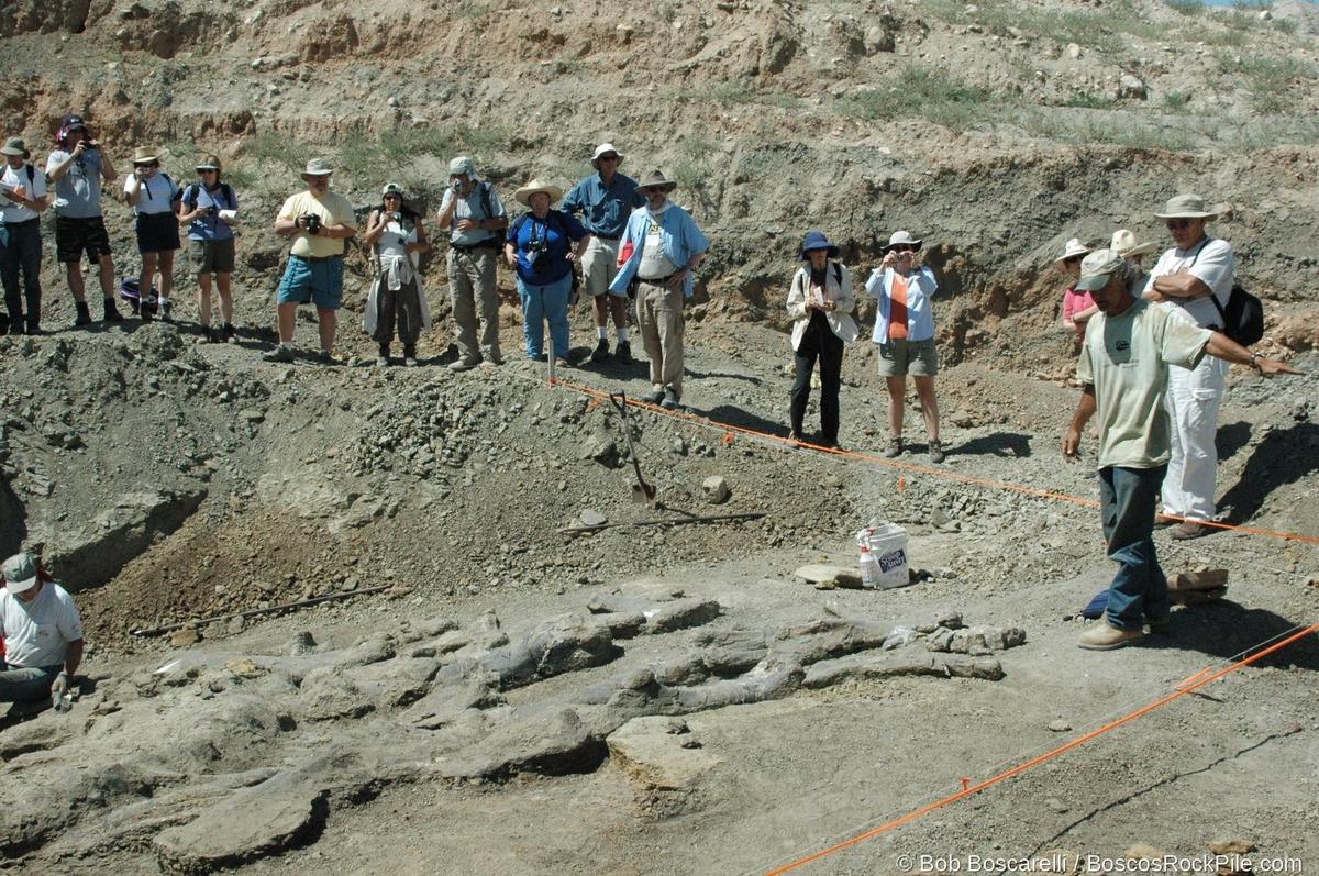 Public tour group at the Shell Wyoming quarry edge, 2007 season. Morrison Formation, Bighorn County, Wyoming.