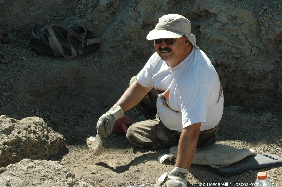 Bob Boscarelli excavating at the Shell Wyoming quarry face, 2007 season. Morrison Formation, Bighorn County, Wyoming.