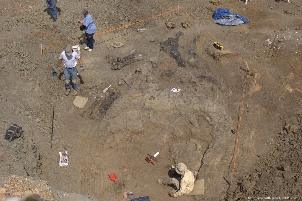 Aerial view — three diggers beside articulated sauropod skeleton, Shell Wyoming quarry, June 29, 2007. Morrison Formation, Bighorn County, Wyoming.