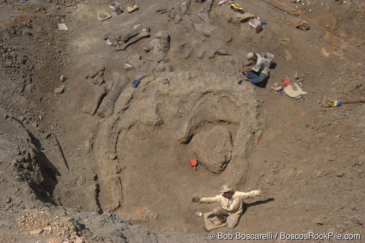 Camarasaurus quarry late-stage aerial view — plaster jacket and limb bones exposed, Shell Wyoming 2007
