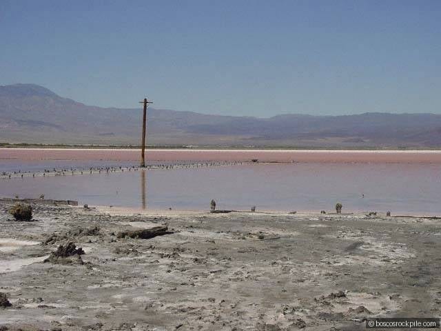 Salt flats with a remnant telegraph pole — infrastructure left from the valley's mining era.