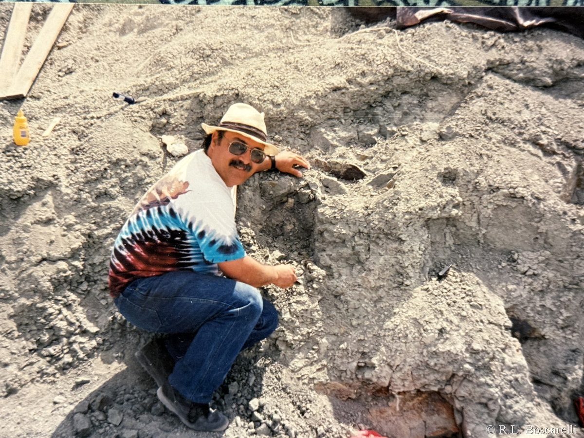 Bosco at Como Bluff — a sauropod bone in the quarry face.