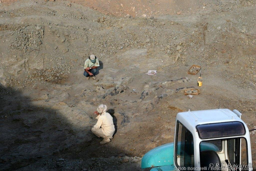 Shell, Wyoming dig site — Morrison Formation.