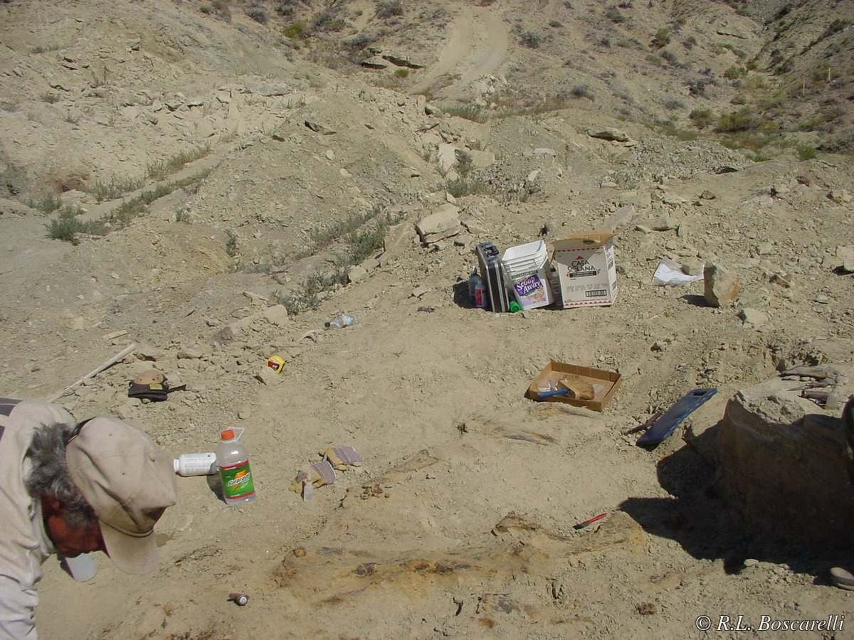 Beginning of the Sarah/Sophie Stegosaurus excavation, Shell, Wyoming.